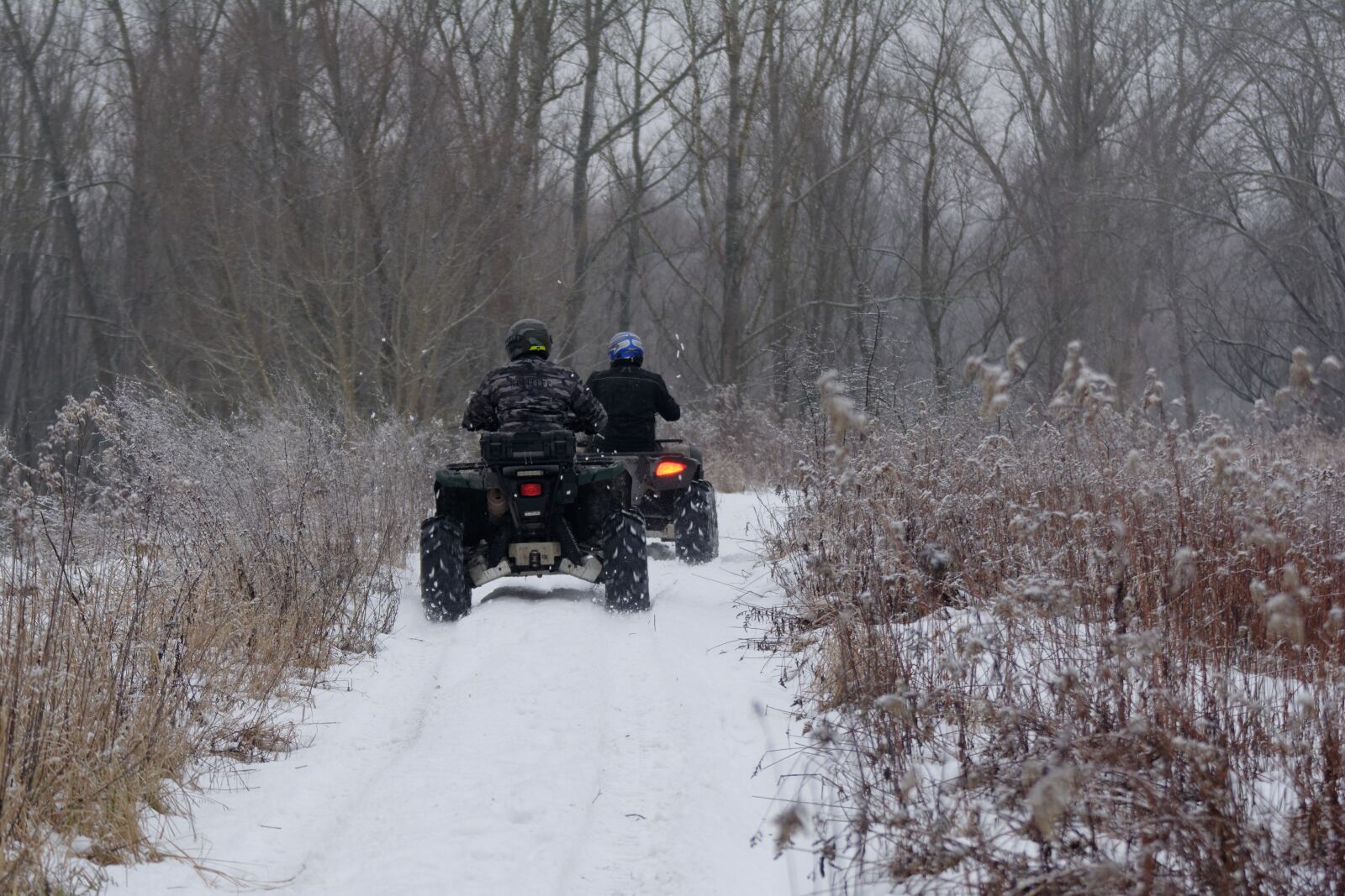 Nikon D5200 sample photo. Atvs, quad, horse photography