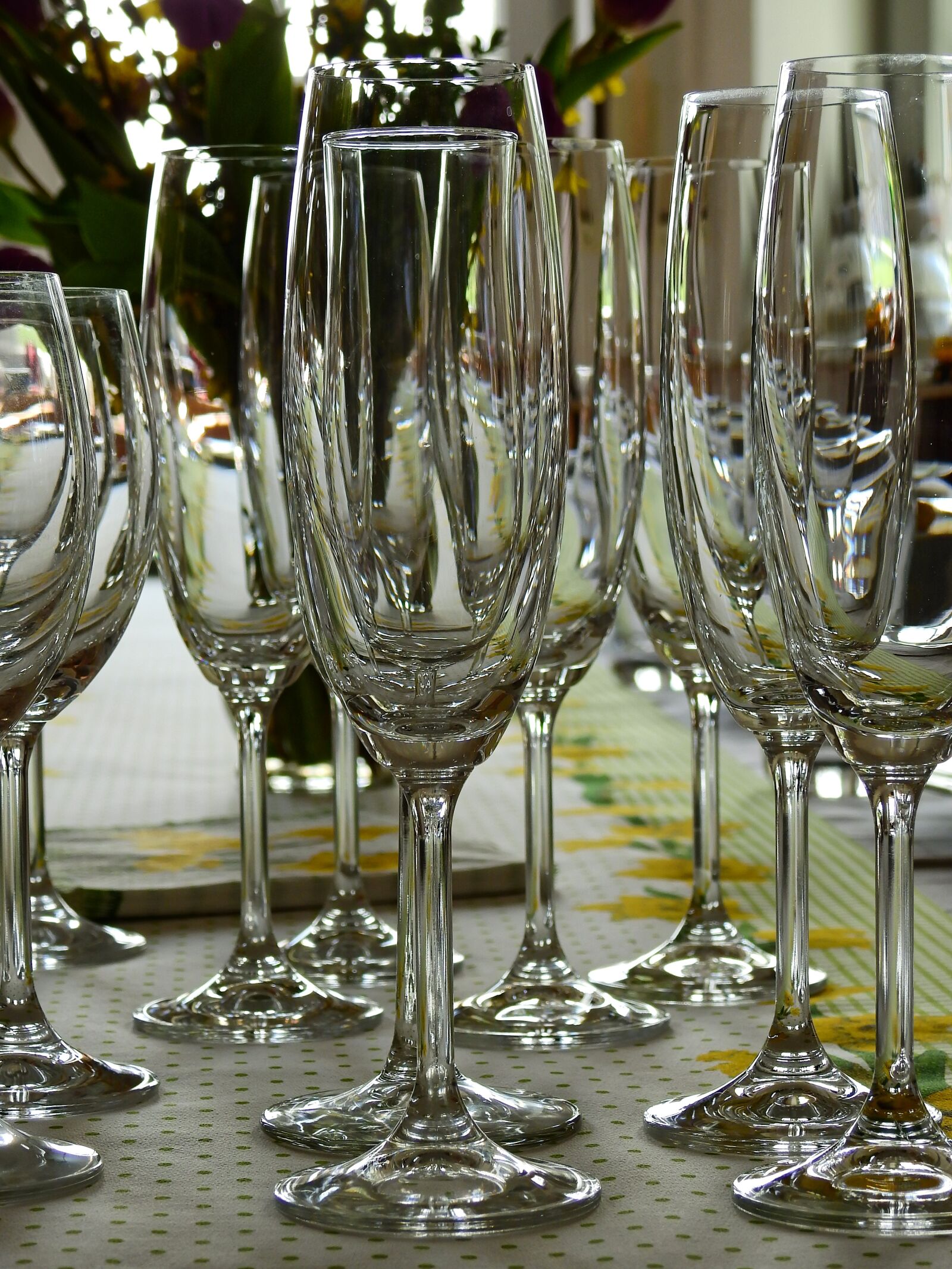Nikon Coolpix P900 sample photo. Celebration, celebrate, birthday photography