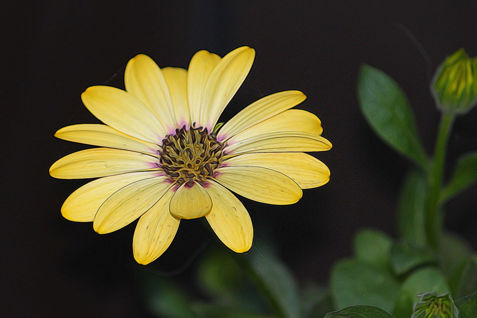 Canon EOS 600D (Rebel EOS T3i / EOS Kiss X5) sample photo. Flower, yellow, blossom photography