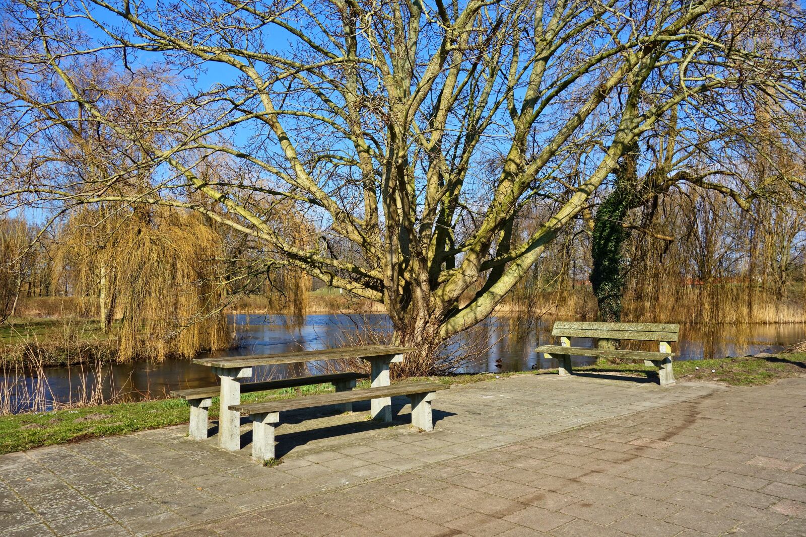 Sony Cyber-shot DSC-RX100 sample photo. Resting place, picnic spot photography