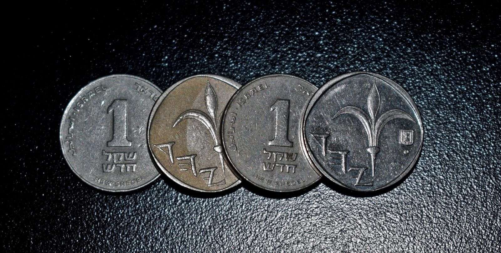 Nikon D5300 sample photo. Shekel, new shekel, currency photography