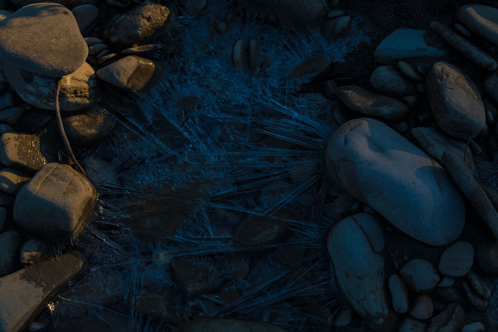 Nikon D5600 sample photo. Ice, icy, sunlight photography