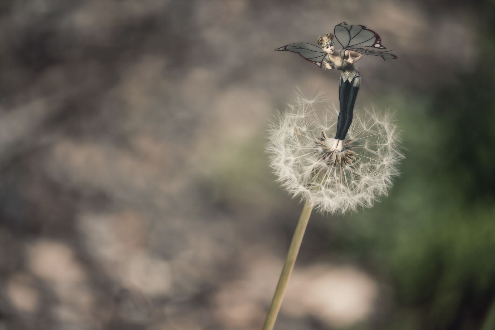Canon EF-S 55-250mm F4-5.6 IS STM sample photo. Elf, dandelion, tender photography