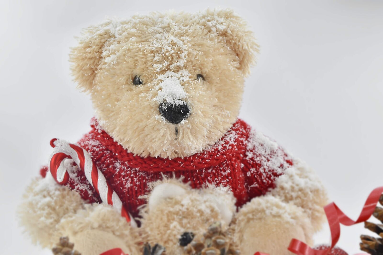 Nikon D5500 sample photo. Christmas, frost, gifts, sitting photography