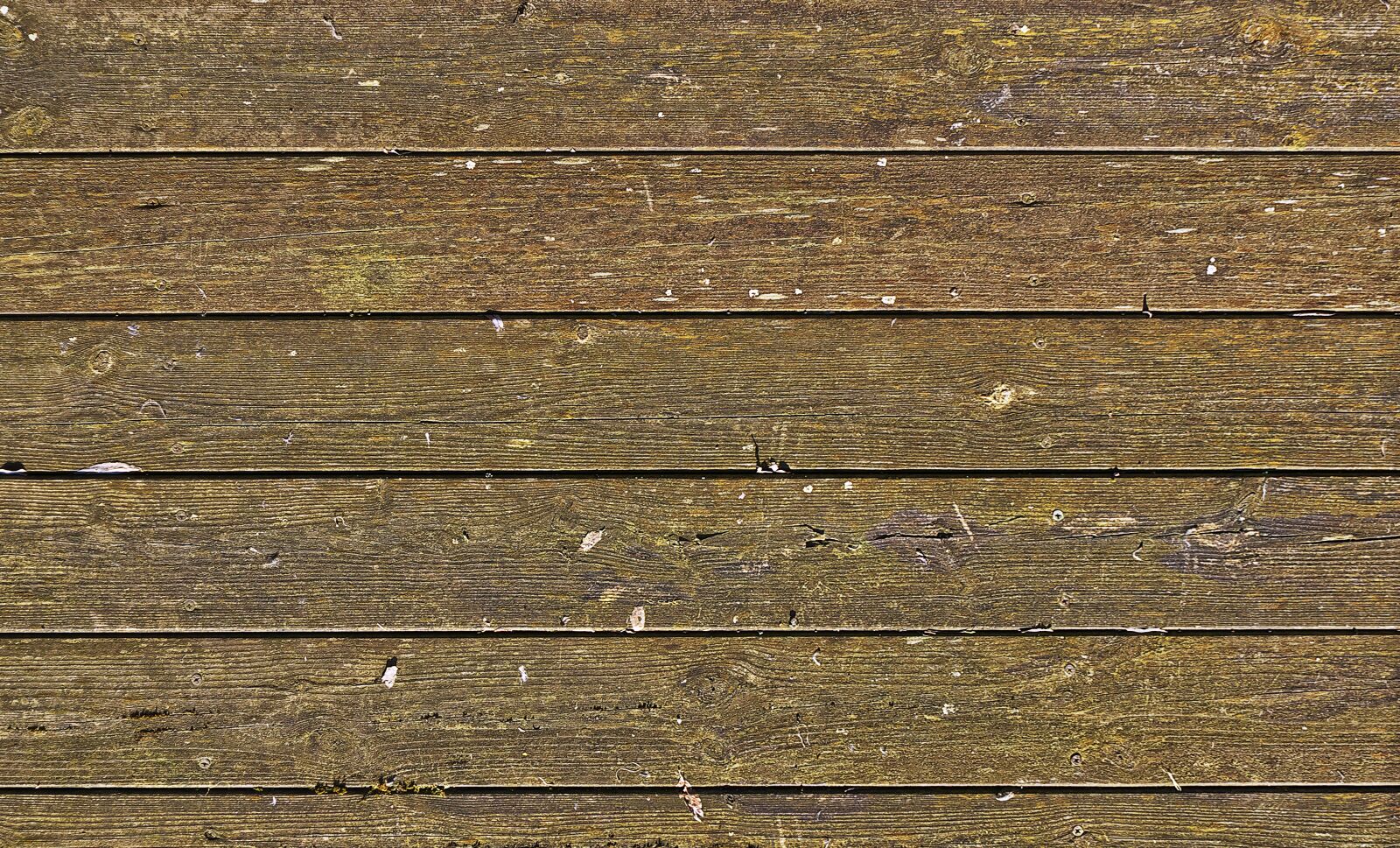 Panasonic Lumix DMC-FZ1000 sample photo. Wood, boards, floor boards photography