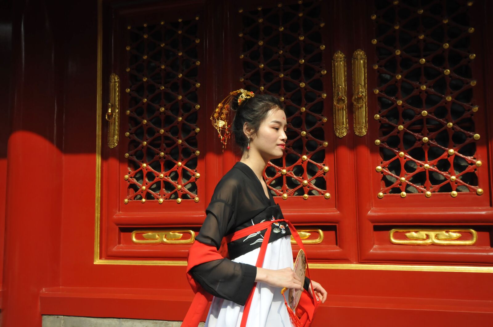 Nikon D300 sample photo. Woman, china, dress photography