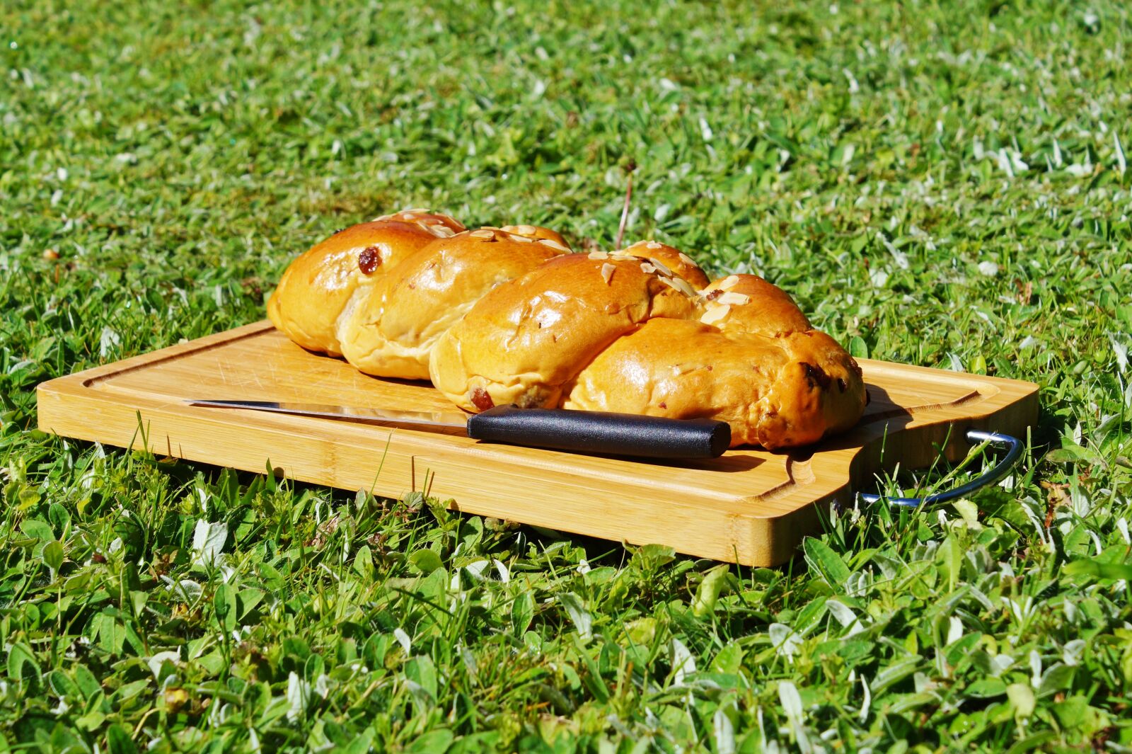 Sony DT 18-70mm F3.5-5.6 sample photo. Raisin braid, cake, plait photography