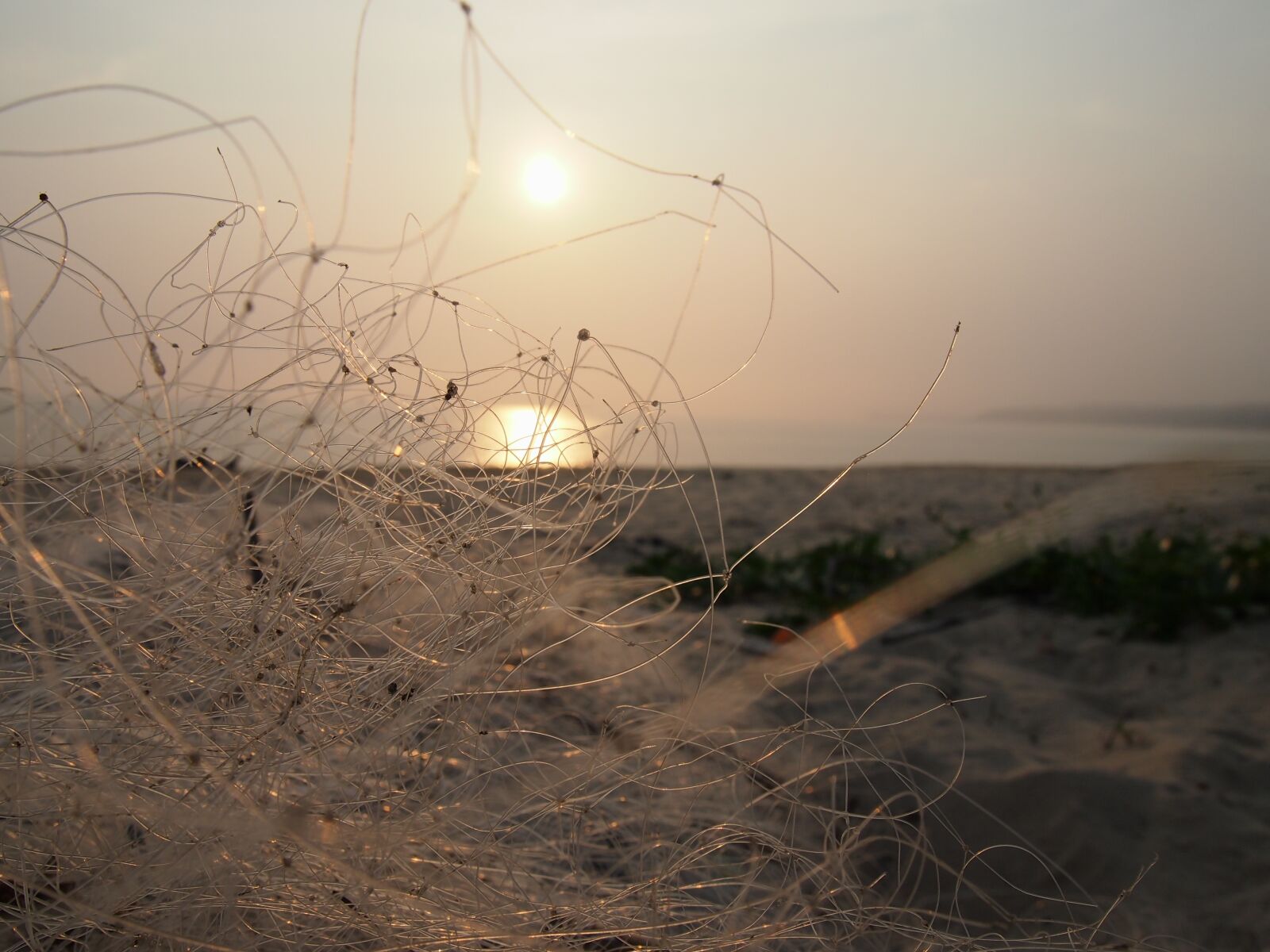 Olympus PEN E-PL3 sample photo. Hai bian, fishing nets photography