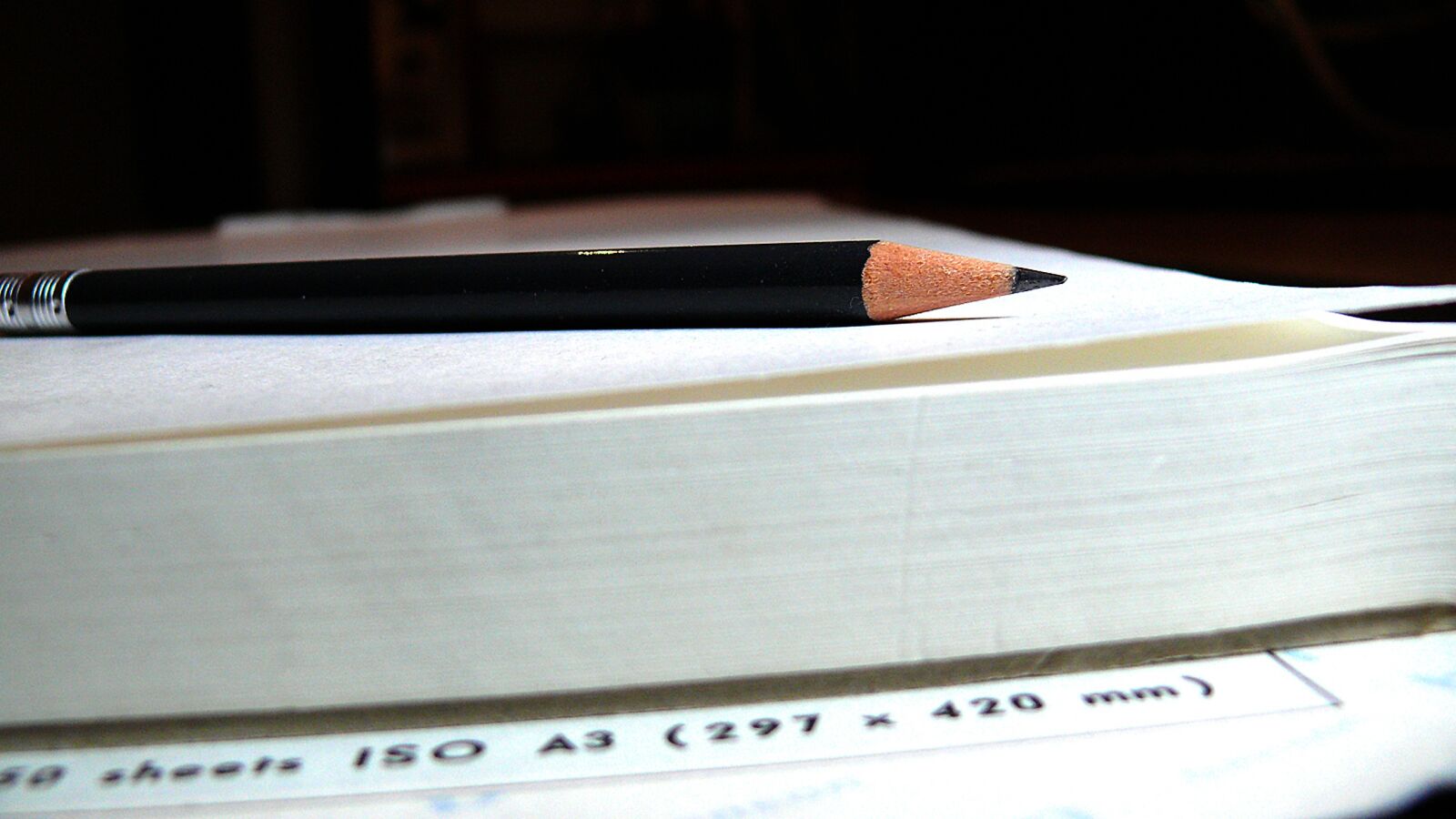 Leica V-LUX 1 sample photo. Paper, a3, arch photography