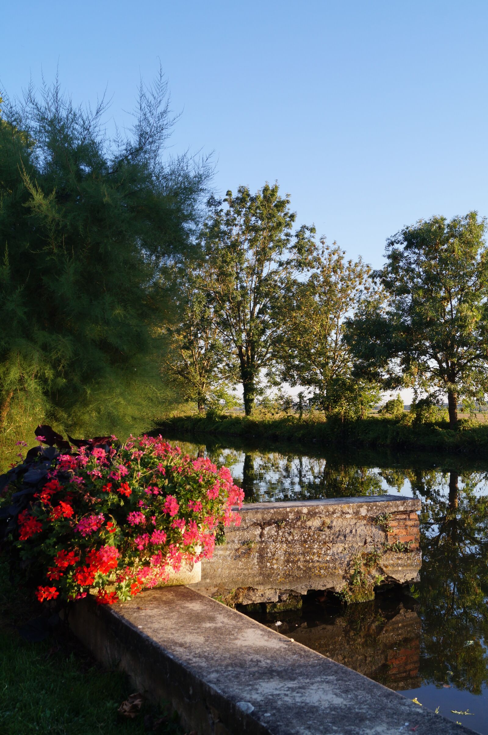 Sony SLT-A37 sample photo. River, floral decoration, genlis photography