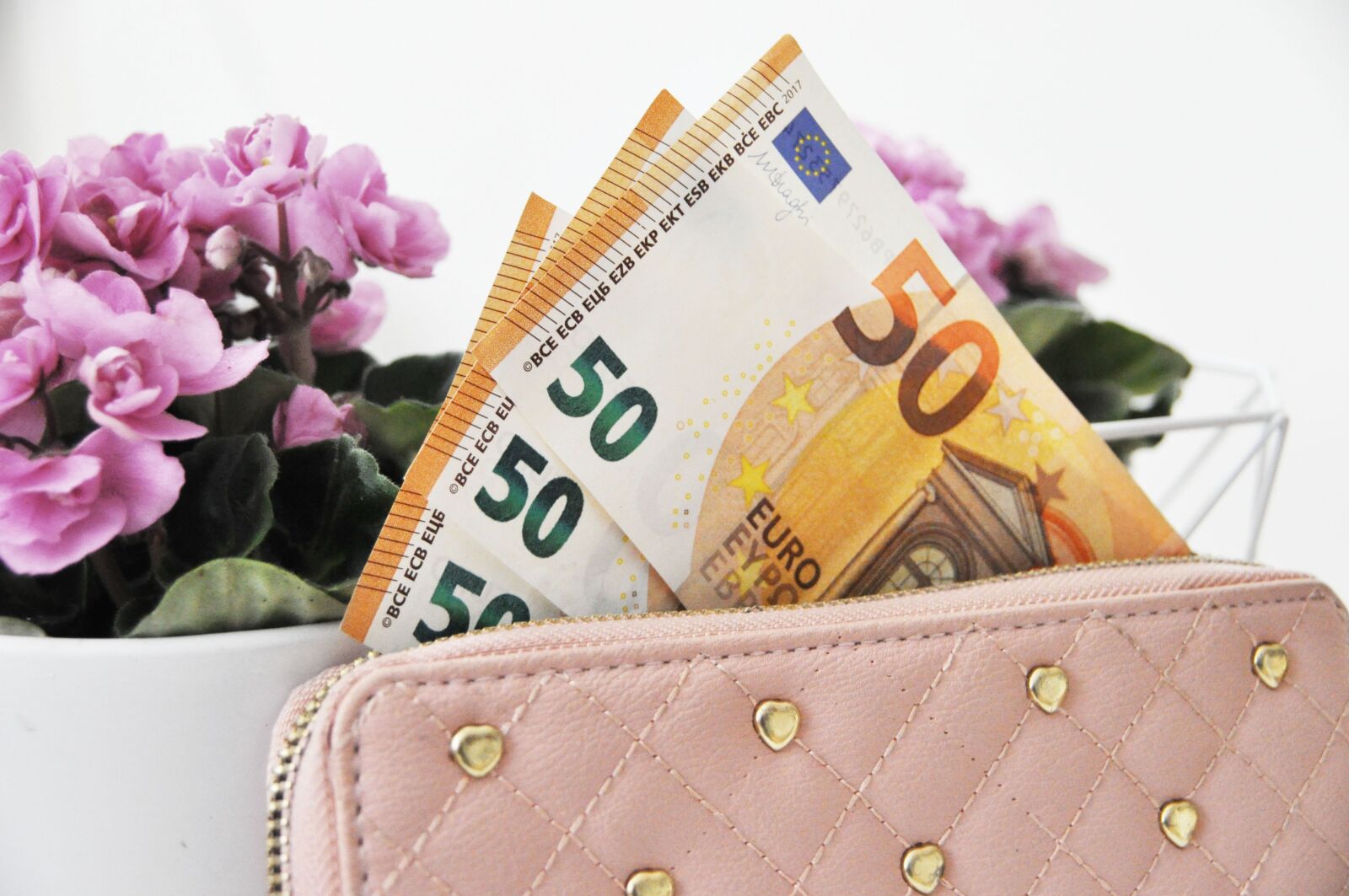 Nikon D90 sample photo. Euro, cash, wallet photography