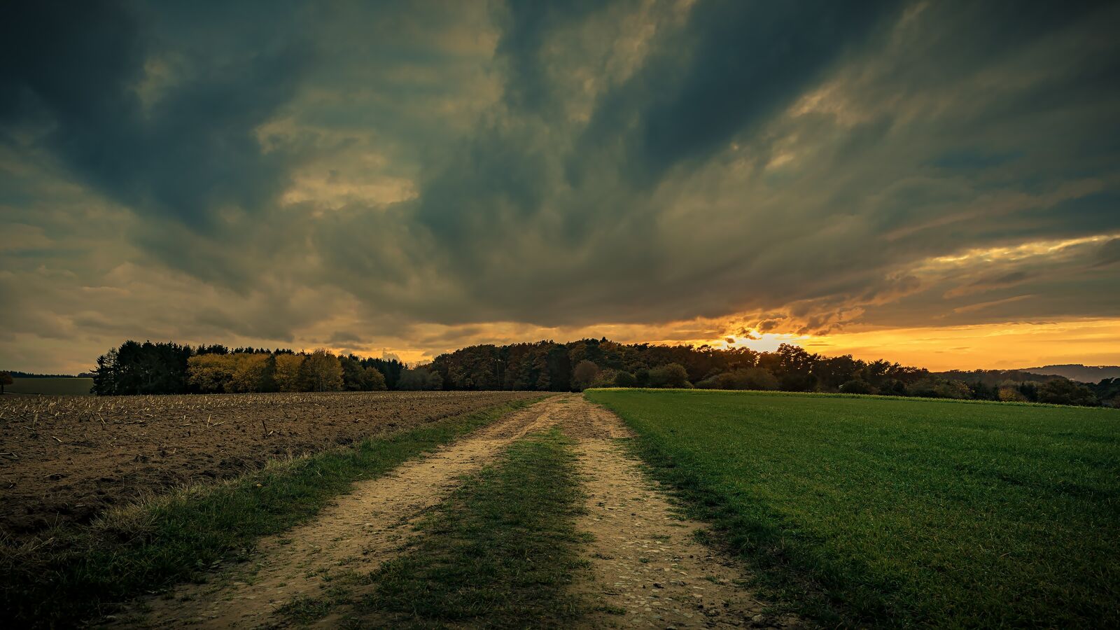 Canon EOS 5D Mark IV sample photo. Lane, sunset, sky photography