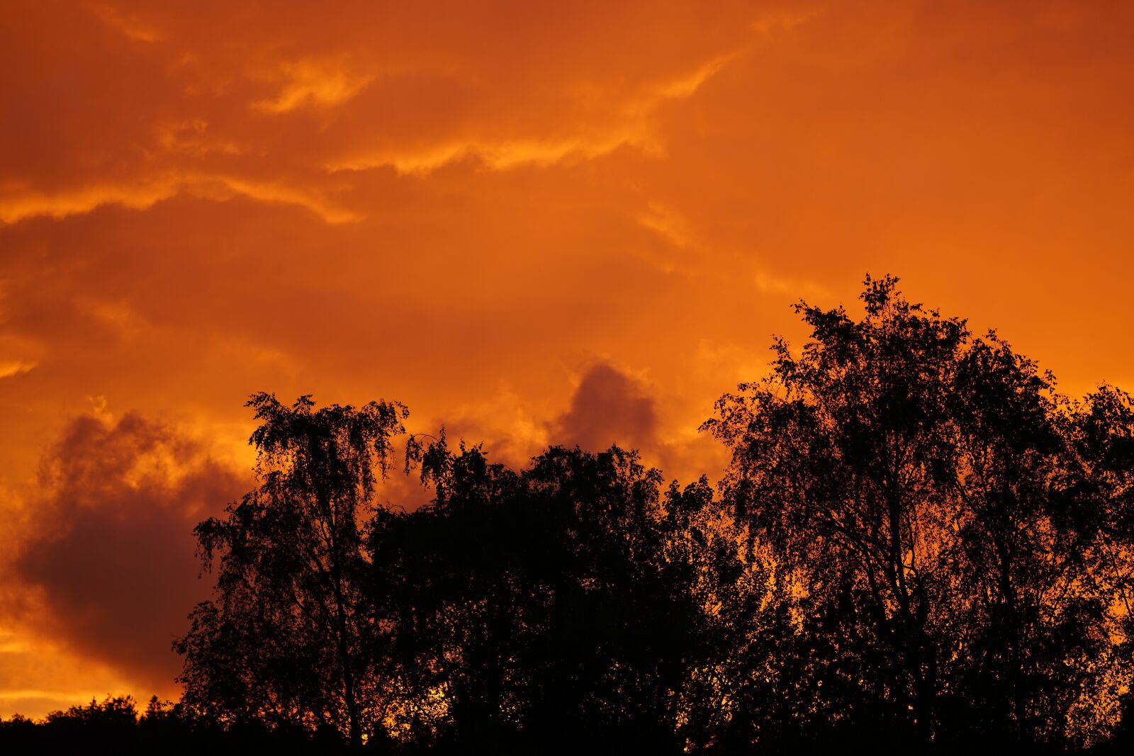 Sony a7R II + Sony FE 90mm F2.8 Macro G OSS sample photo. Sunset, sunrise, sky photography