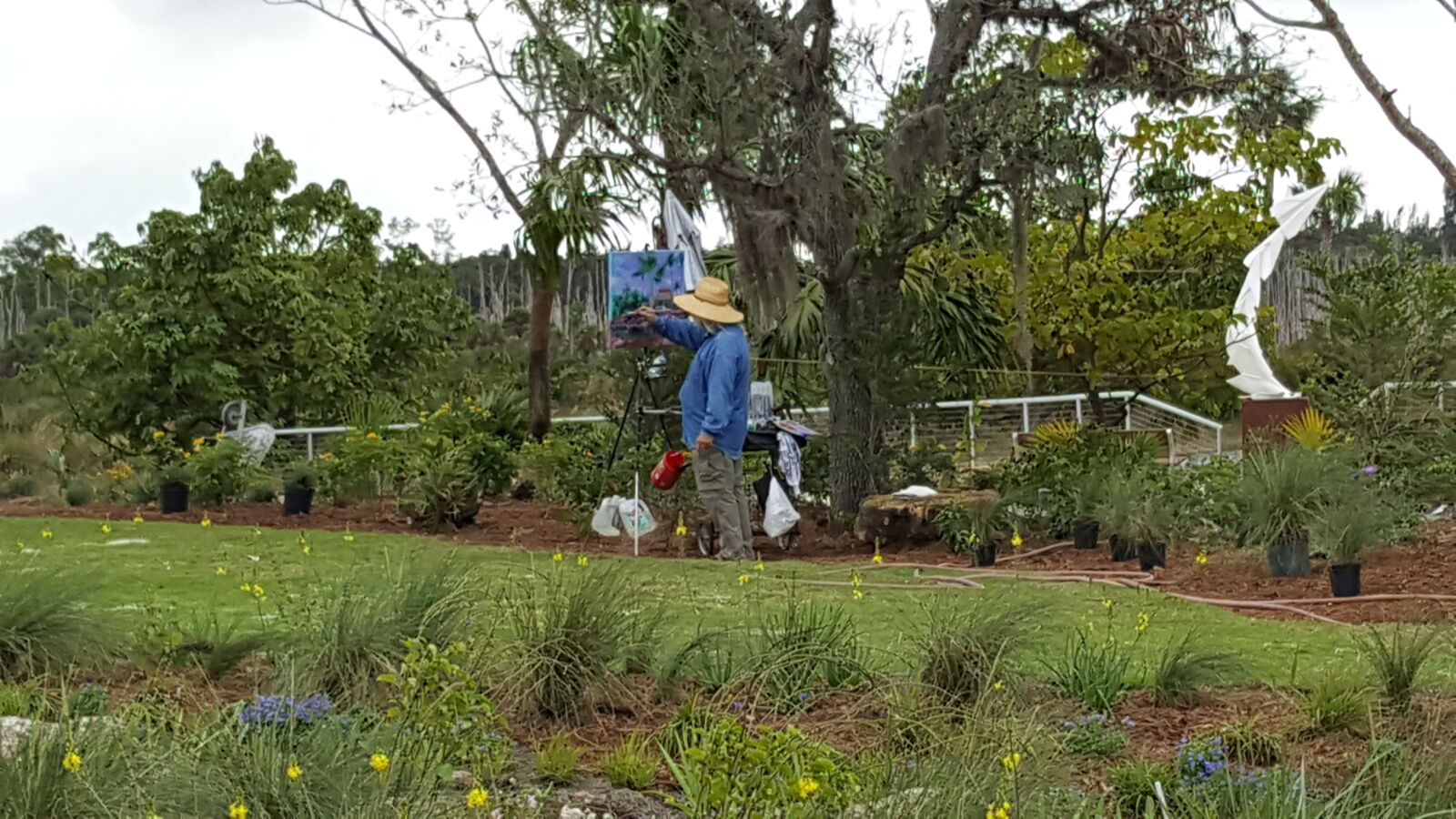 Samsung GALAXY S6 edge sample photo. Botanical, gardens photography