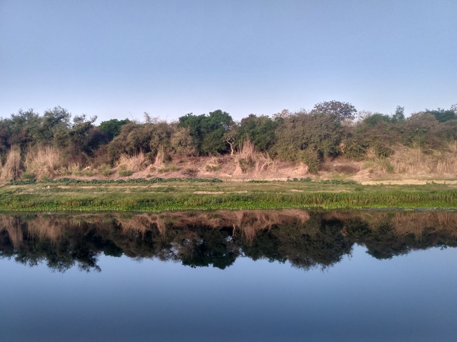 Xiaomi Redmi 3S sample photo. River, reflection photography