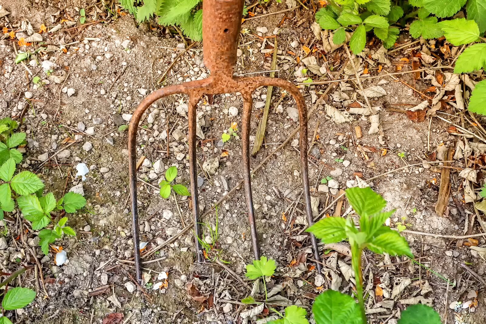Canon EOS 650D (EOS Rebel T4i / EOS Kiss X6i) sample photo. Pitchfork, tine, metal photography
