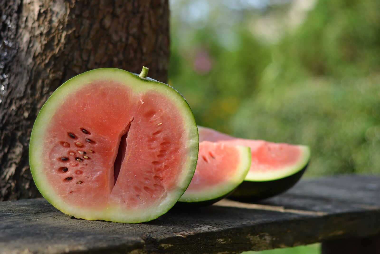Nikon D5200 sample photo. Watermelon, watermelons, slices of photography