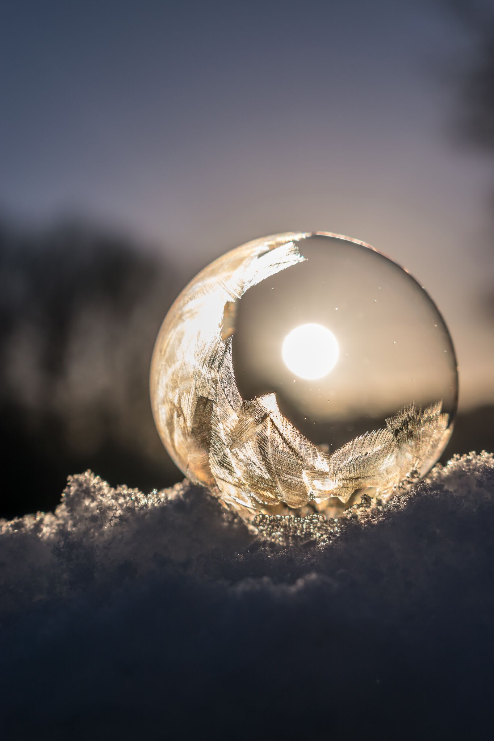 Nikon D5300 sample photo. Soap bubble, frozen, frozen photography
