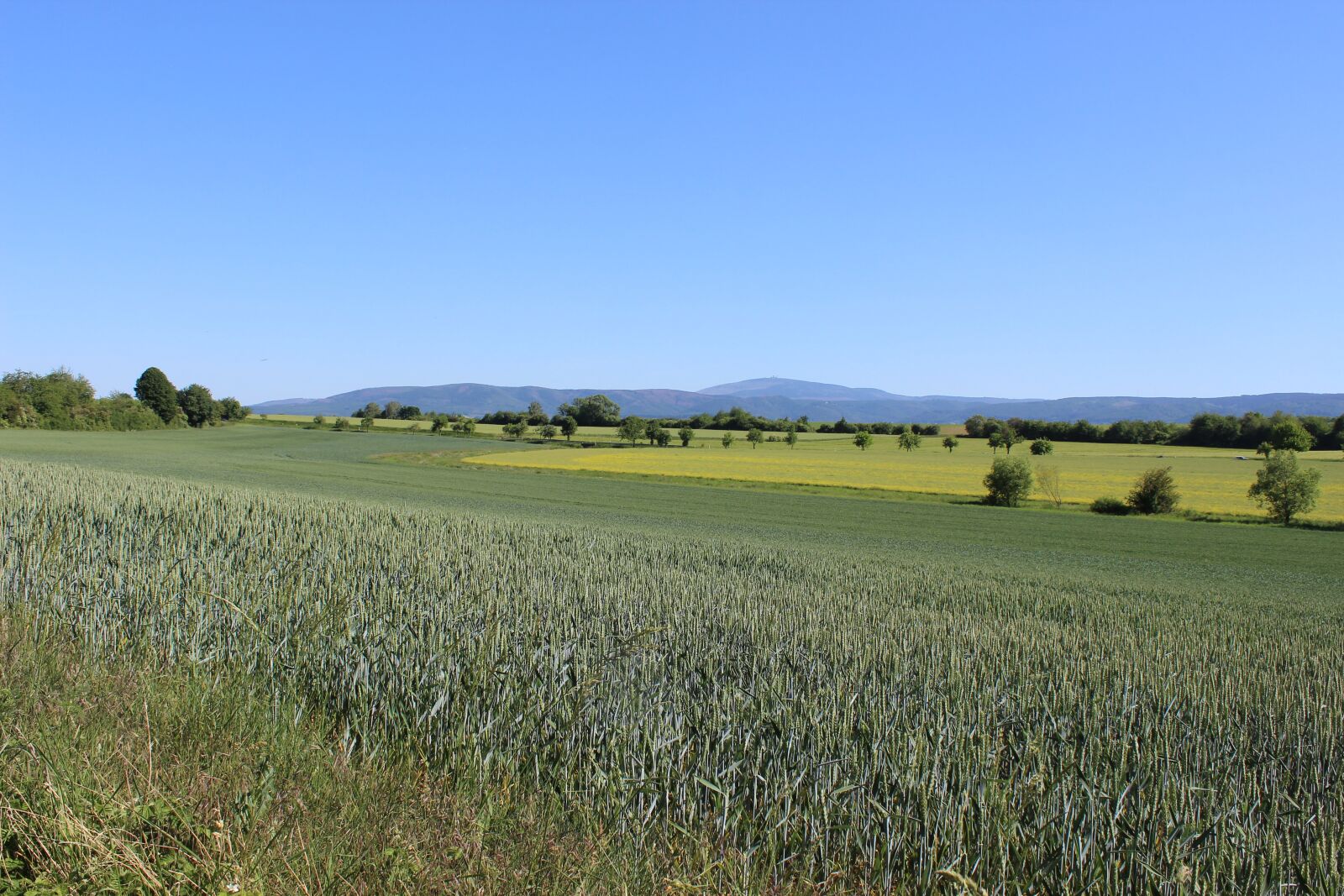 Canon EOS 600D (Rebel EOS T3i / EOS Kiss X5) sample photo. Resin, foothills of the photography