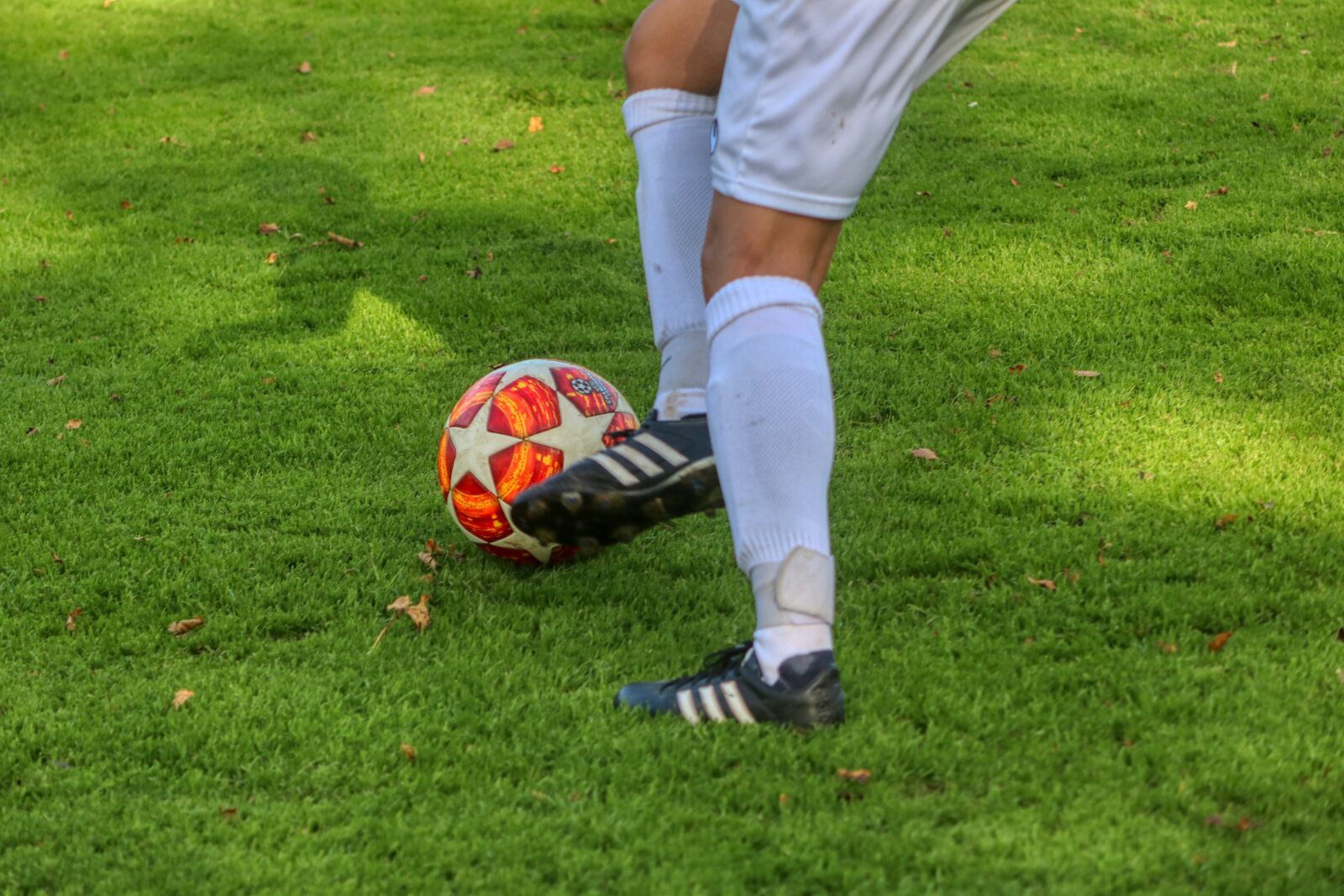 Canon EOS 80D sample photo. Football, ladies football, soccer photography