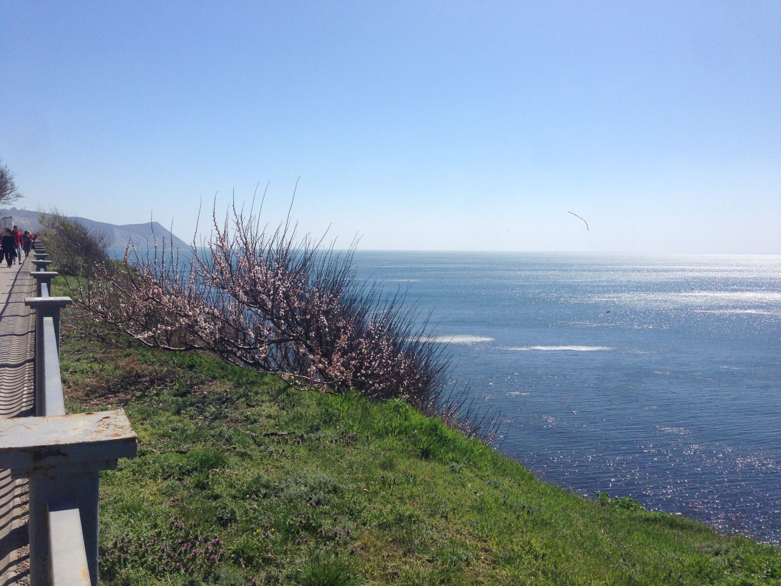 iPhone 5 back camera 4.12mm f/2.4 sample photo. Sea, sky, seashore photography