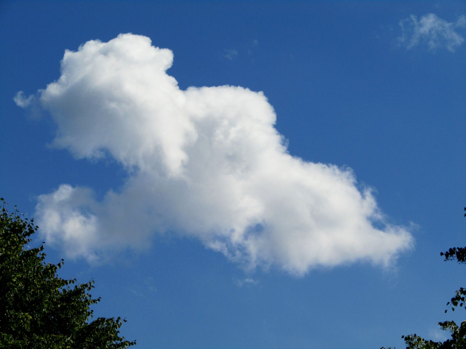Canon POWERSHOT SX432 IS sample photo. Cloud, sky, white photography