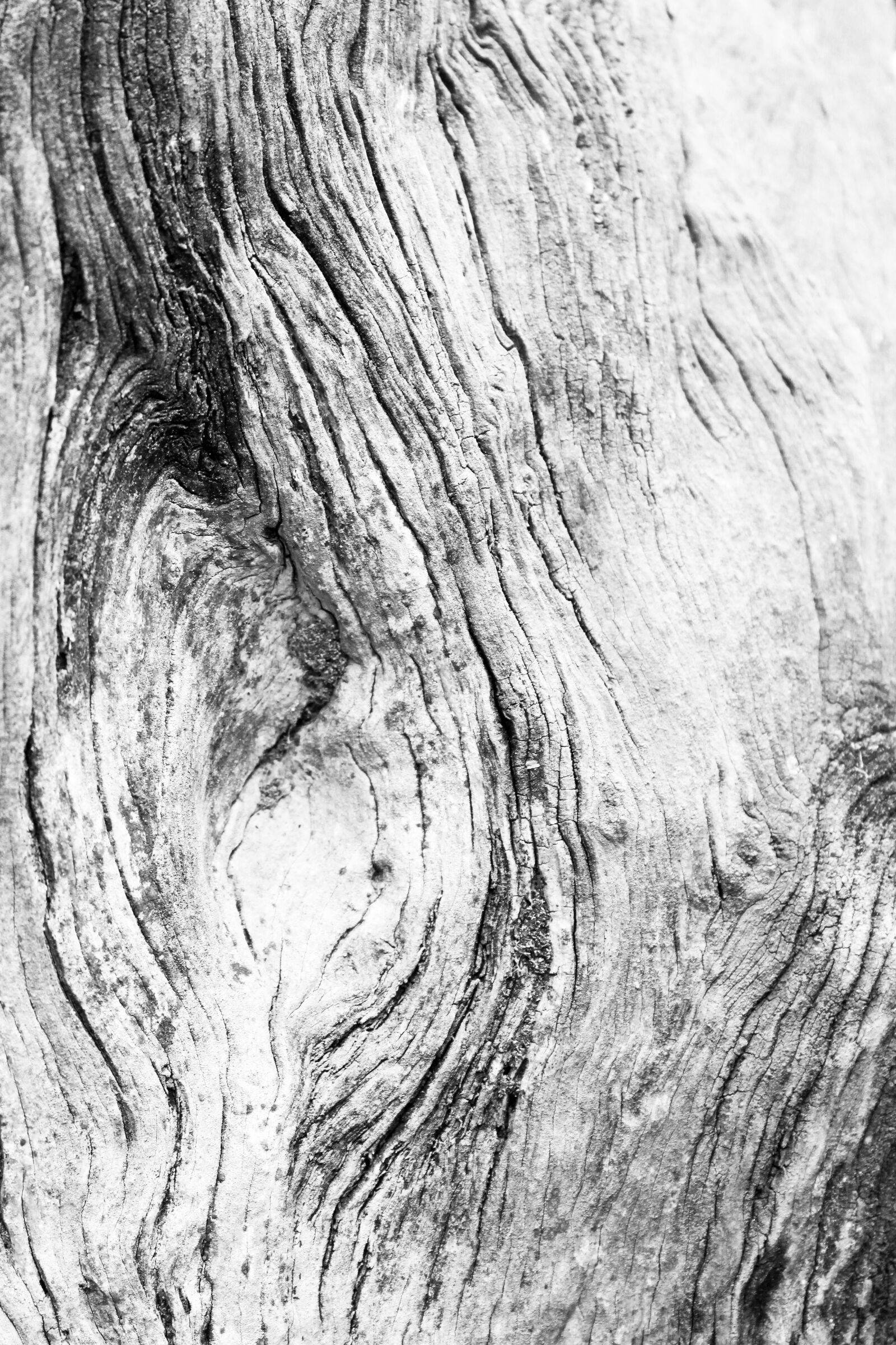 Canon EOS 700D (EOS Rebel T5i / EOS Kiss X7i) sample photo. Black and white, old photography