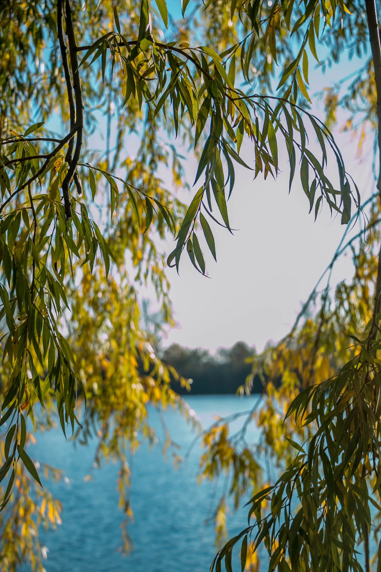Canon EOS 70D sample photo. Pasture, lake, nature photography