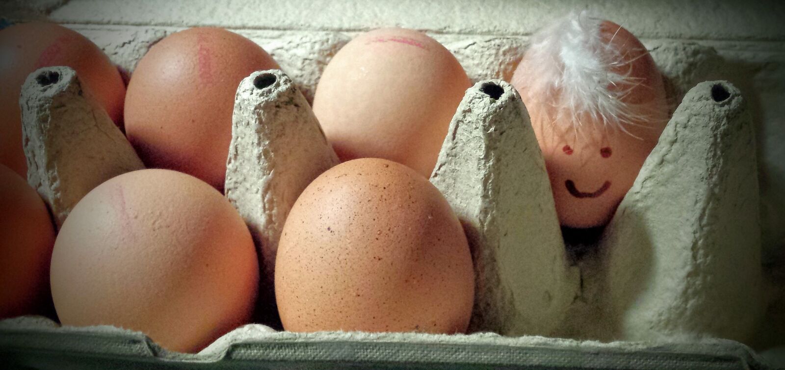 Samsung Galaxy S4 sample photo. Egg, funny, face photography