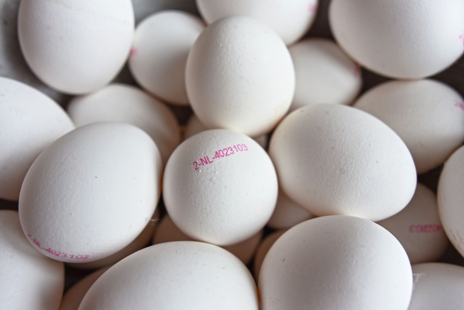 Nikon D750 sample photo. Egg, egg stamp, egg photography