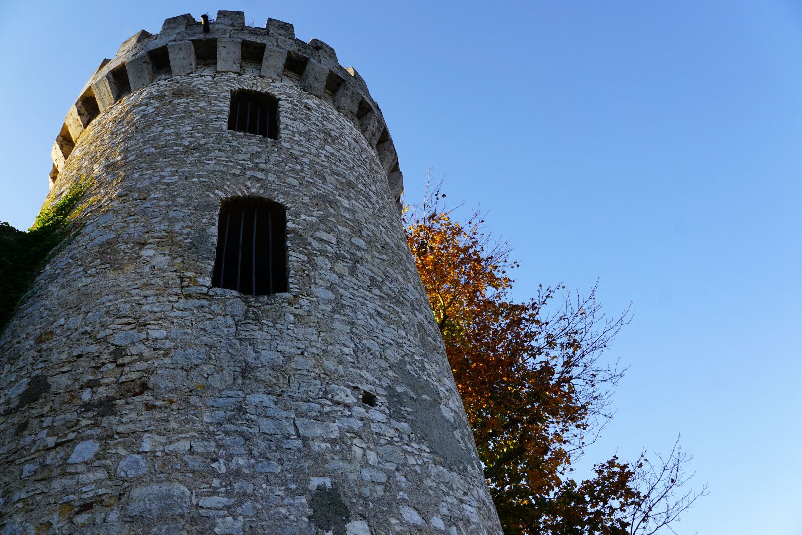 Sony ILCA-77M2 + Sony DT 16-50mm F2.8 SSM sample photo. Autumn, hike, tuttlingen photography