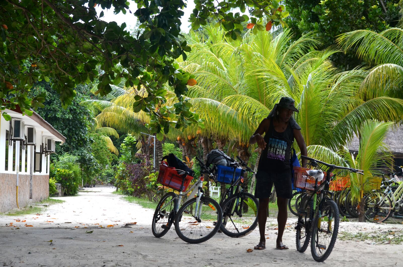 Nikon D5100 sample photo. Seychelles, park, island photography