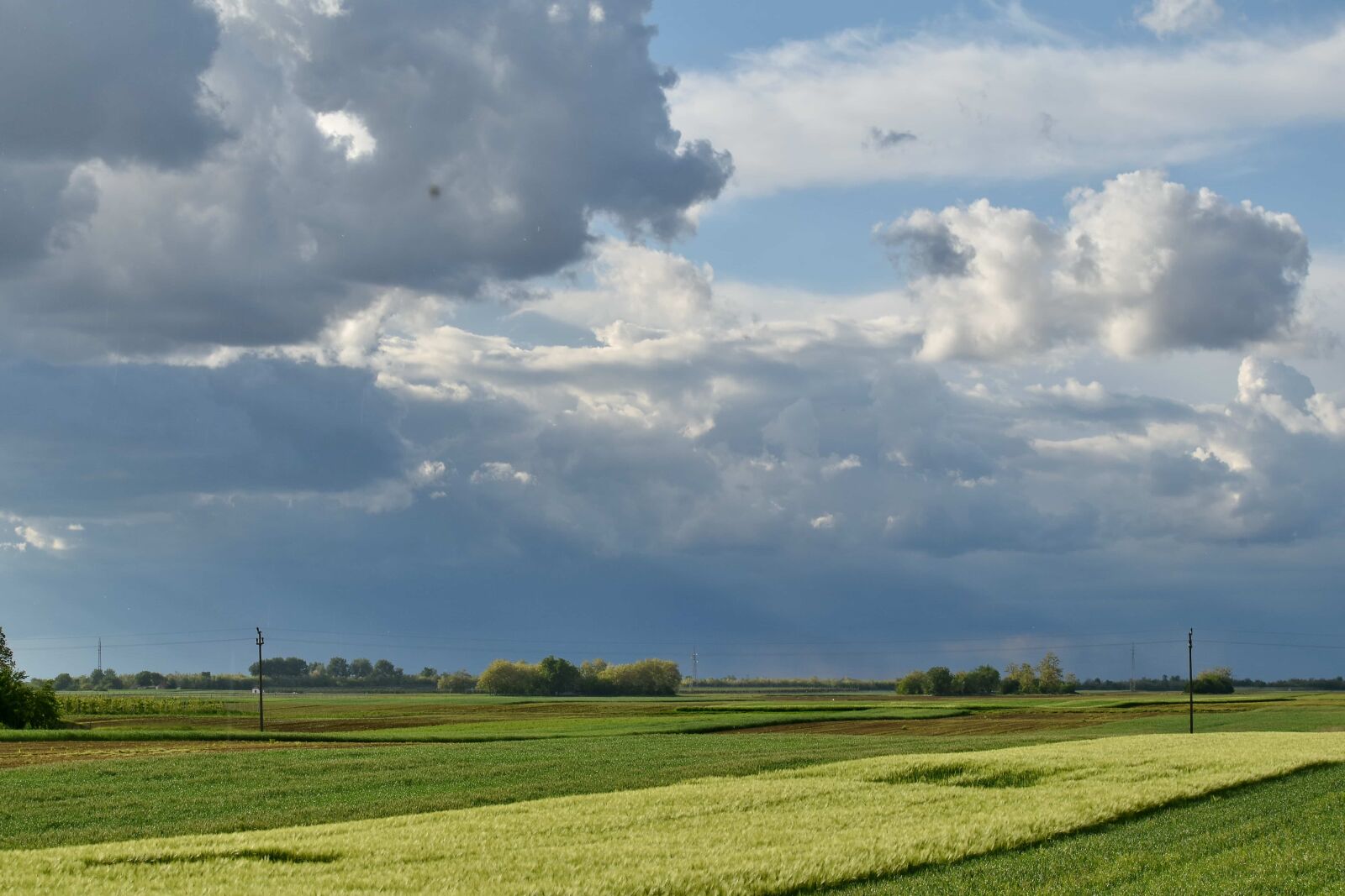 Nikon D5500 sample photo. Agricultural, cloudiness, fair weather photography