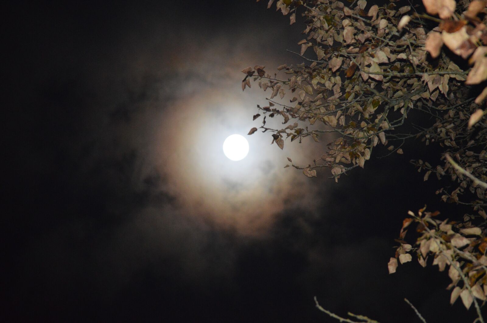 Nikon D3200 sample photo. Moon, night, dark photography