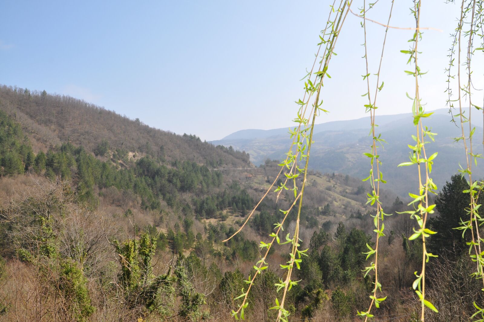 Nikon D90 sample photo. Landscape, mountain, nature photography