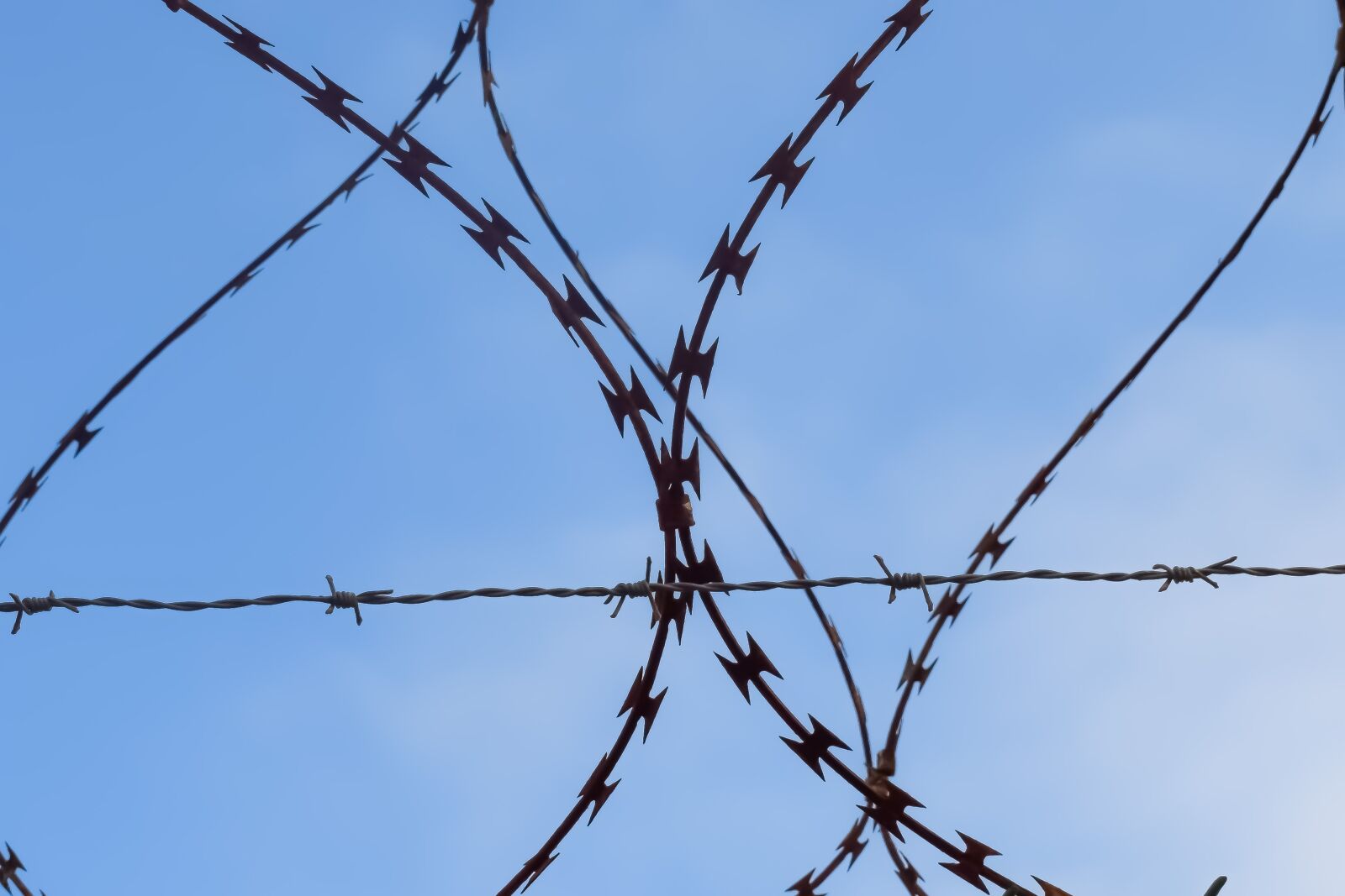 Nikon D3300 sample photo. Barbed wire, wire, fence photography