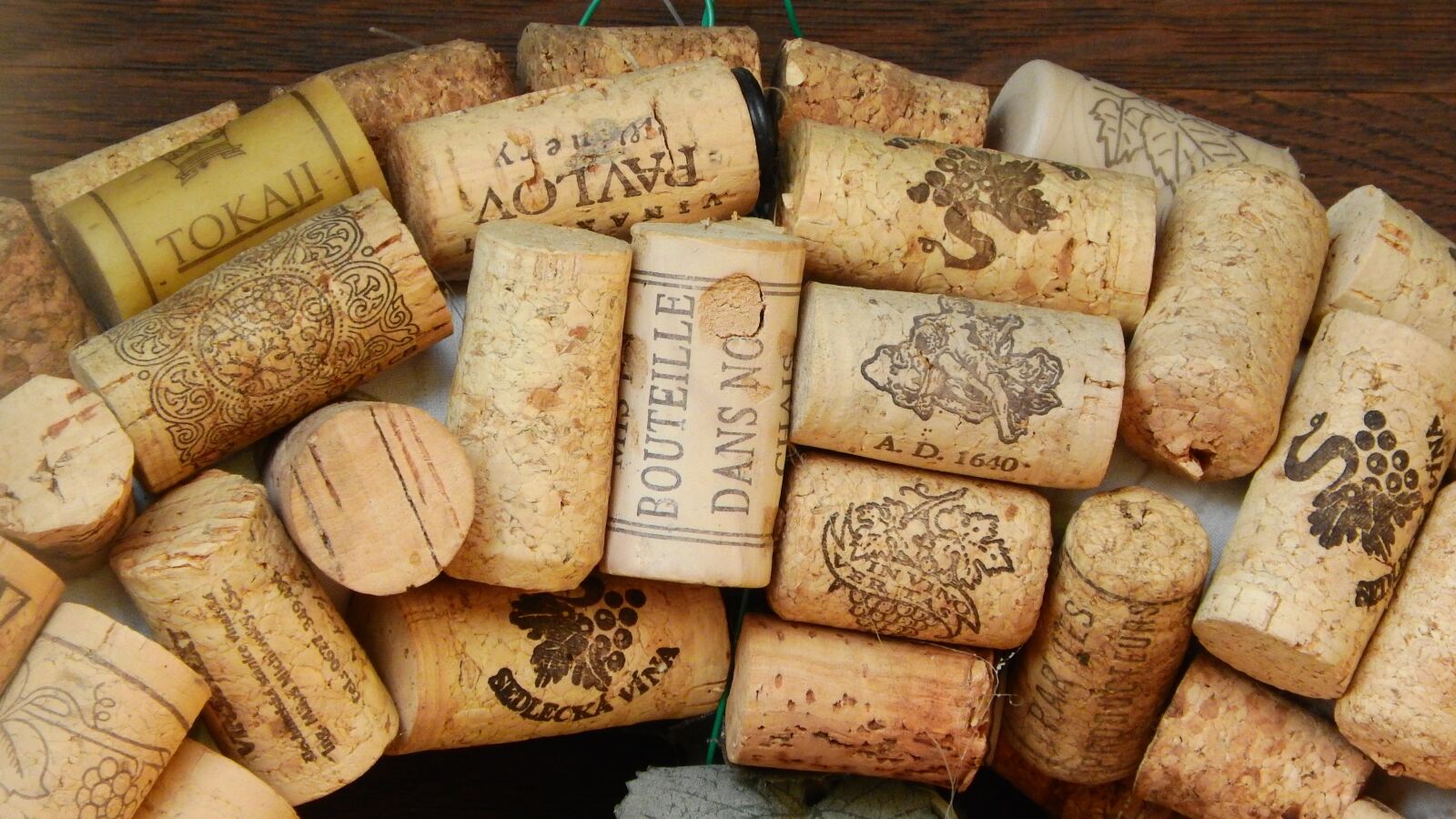 Nikon Coolpix P610 sample photo. Cork stoppers, cork, viticulture photography