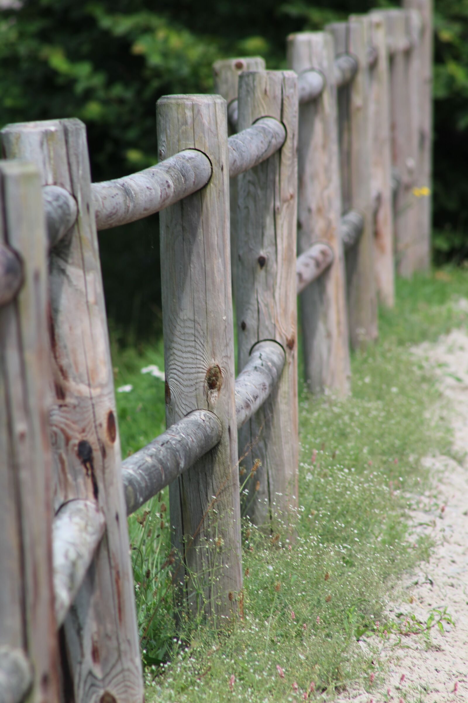 Canon EOS 1300D (EOS Rebel T6 / EOS Kiss X80) + Canon EF 75-300mm f/4-5.6 sample photo. Fence, wood, structure photography