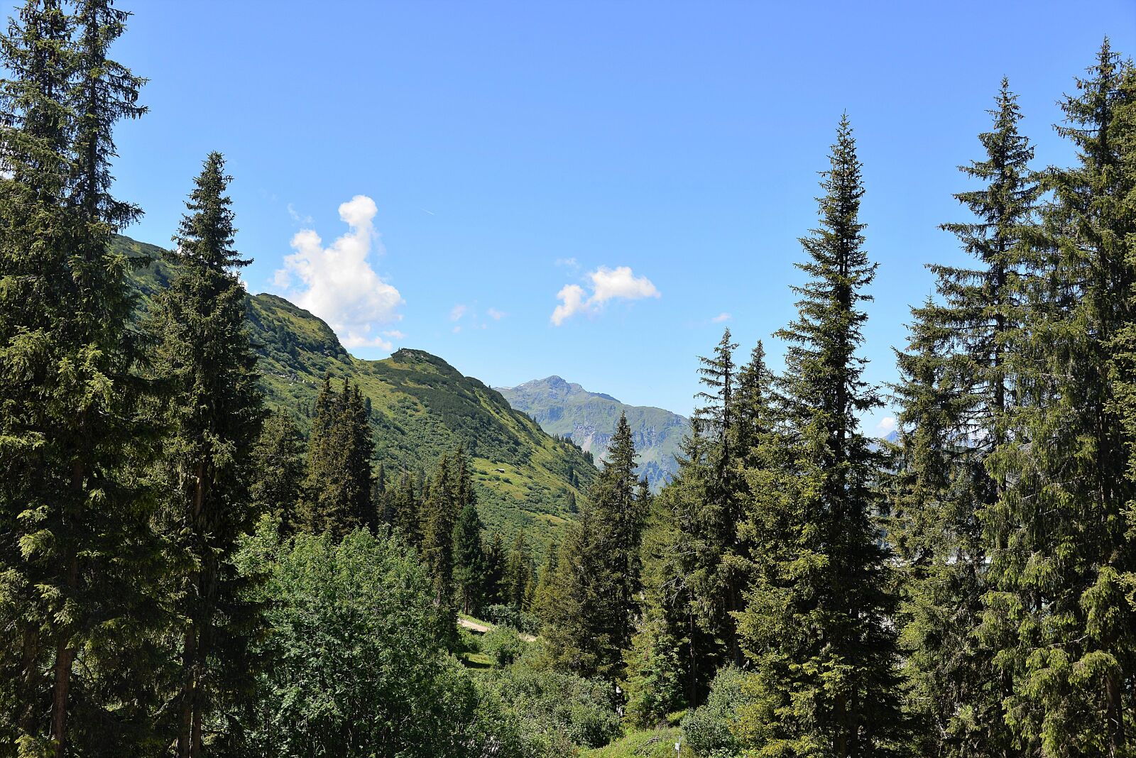 Nikon D610 sample photo. Forest, mountains, kaunertal photography