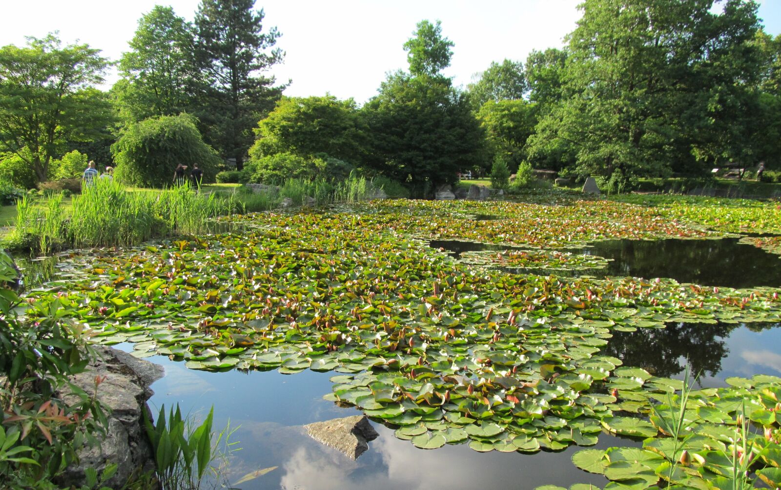 Canon PowerShot SX150 IS sample photo. Botanical garden, boat photography