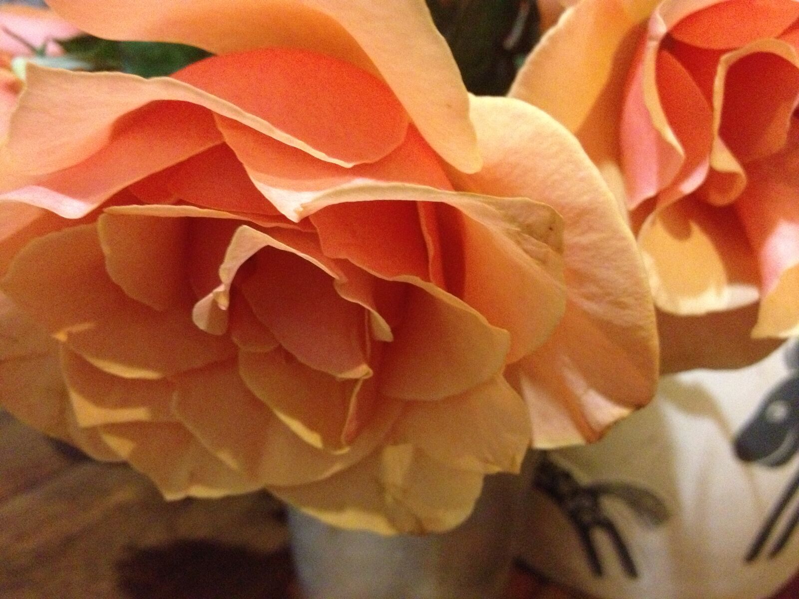 Apple iPhone 4S sample photo