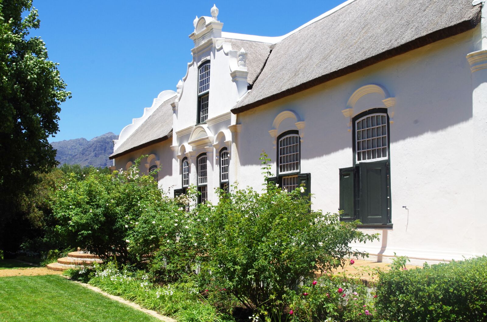 Pentax K-30 sample photo. South africa, western cape photography
