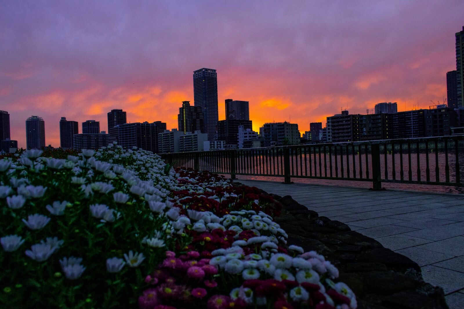 Nikon D3300 sample photo. Sunrise, dusk, japan photography