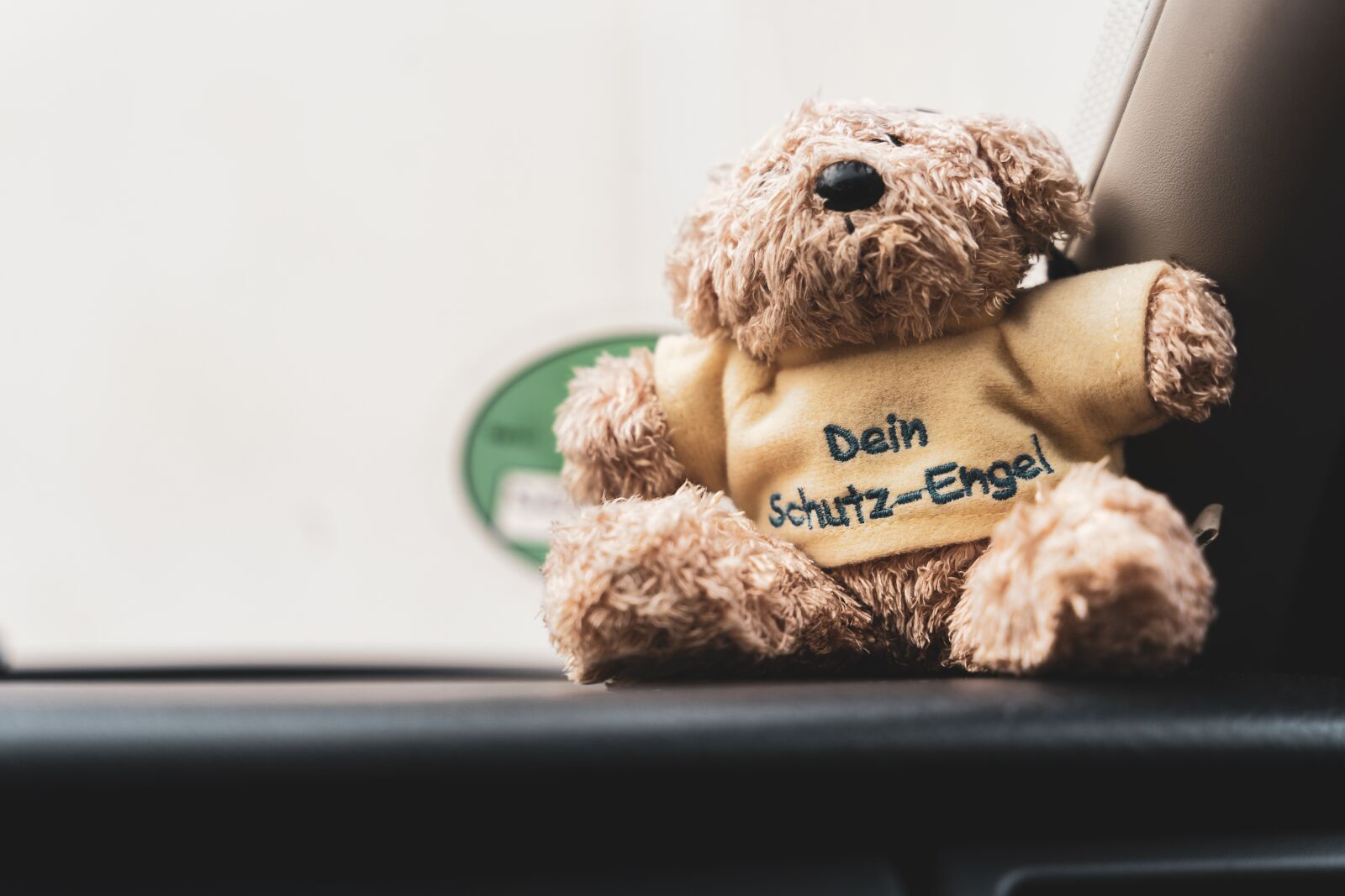 Tamron 28-75mm F2.8 Di III RXD sample photo. Teddy bear, stuffed animal photography
