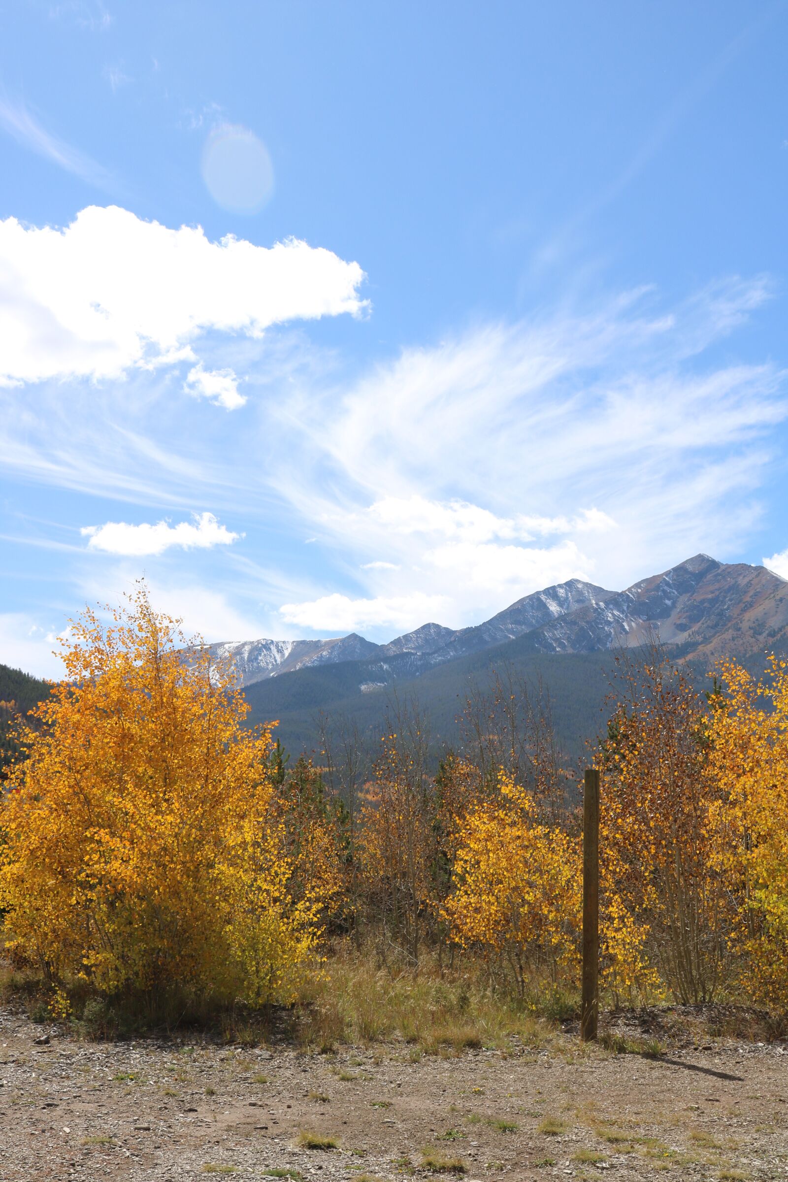 Canon EOS 750D (EOS Rebel T6i / EOS Kiss X8i) sample photo. Autumn, fall, bush photography