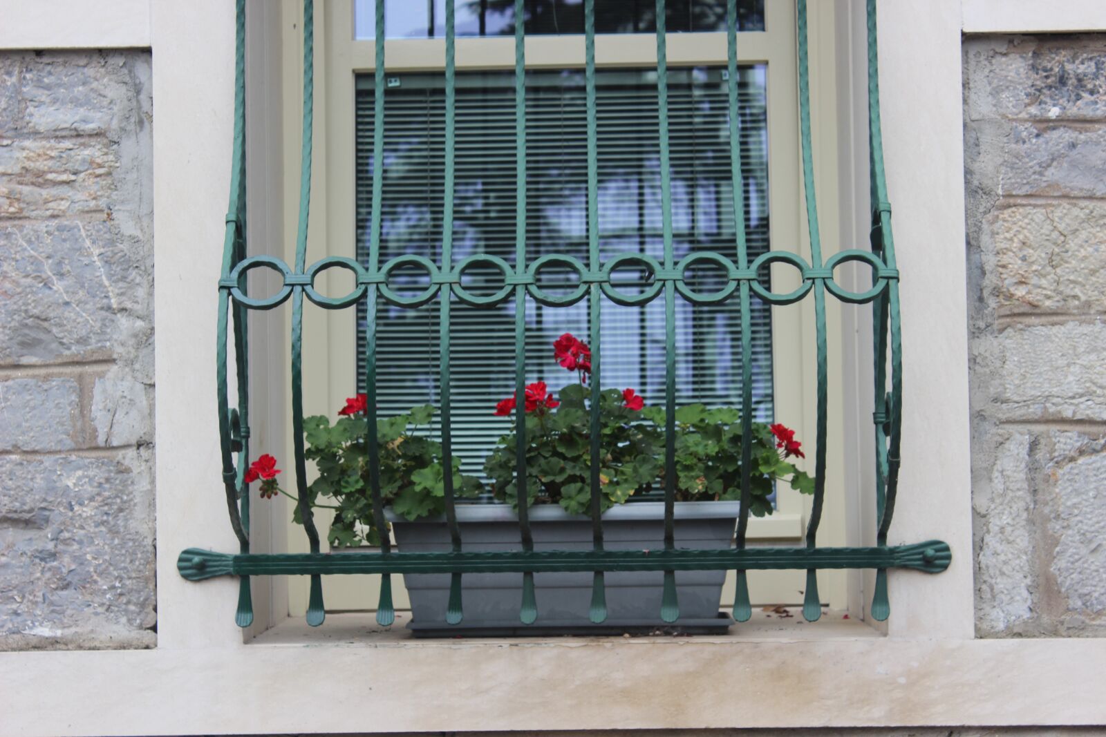 Canon EOS 600D (Rebel EOS T3i / EOS Kiss X5) sample photo. Flower, red, window photography
