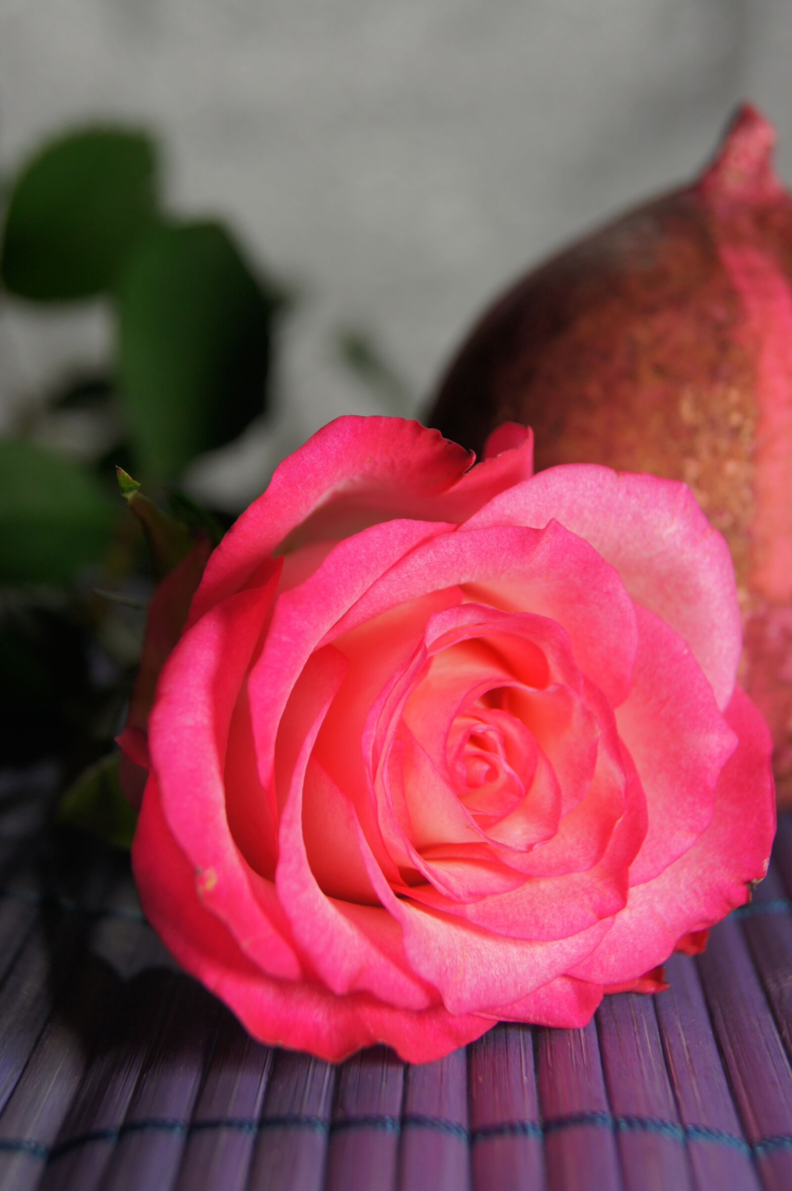 Sony Alpha DSLR-A550 sample photo. Map, nature, pink photography