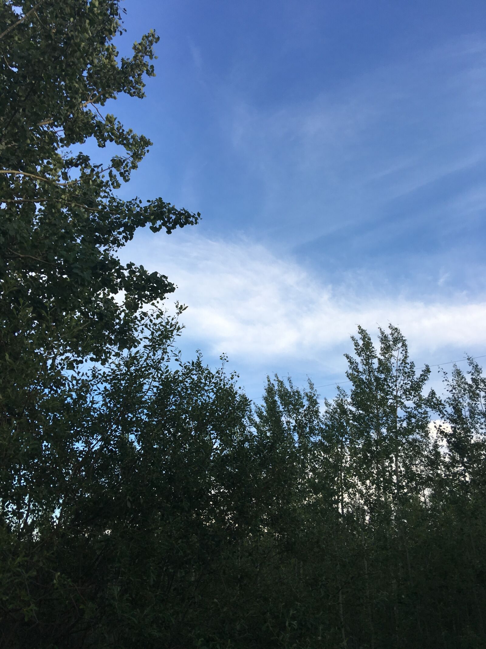 Apple iPhone 6s Plus sample photo. Blue, skies, clouds, nature photography