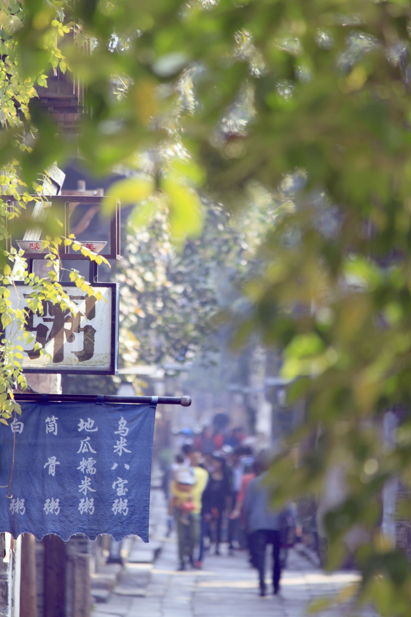 Canon EOS 500D (EOS Rebel T1i / EOS Kiss X3) sample photo. China, chinese, outdoor photography