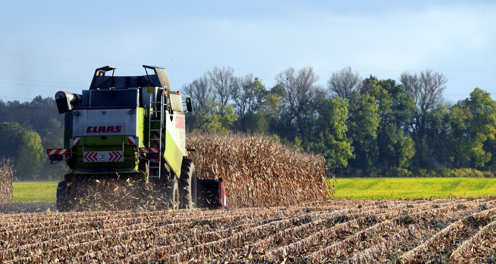 Nikon D3300 sample photo. Harvest, corn harvest, autumn photography